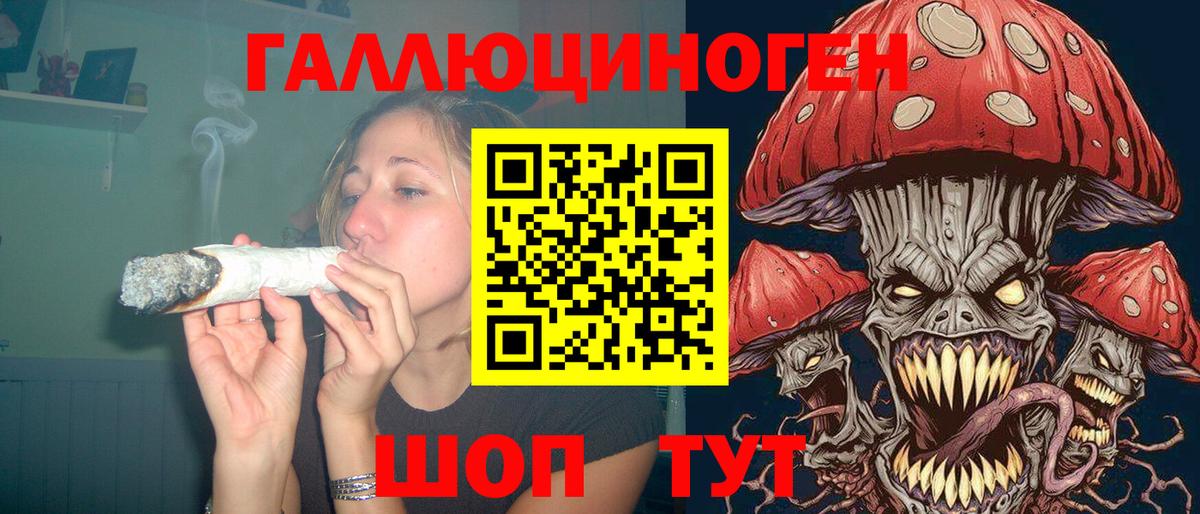 Галлюциногенные грибы GOLDEN TEACHER Киселёвск