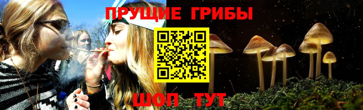 Галлюциногенные грибы Psilocybe  Вход с VPN  Псилоцибиновые грибы мицелий  что такое   Киселёвск 