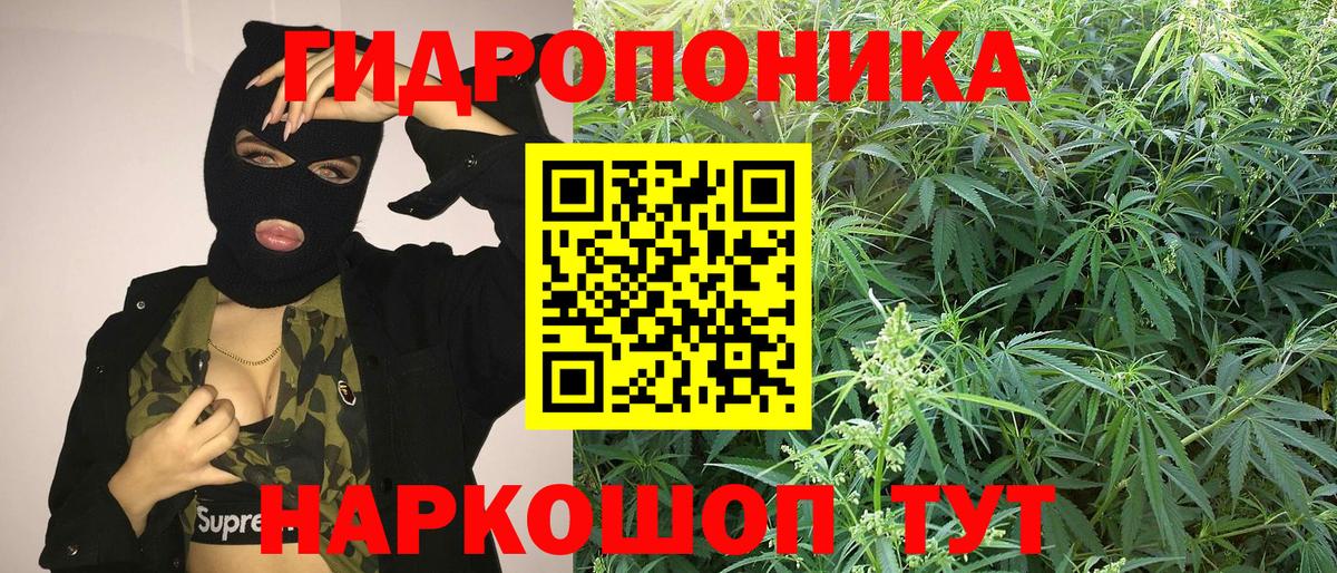 Бошки марихуана THC 21% Киселёвск